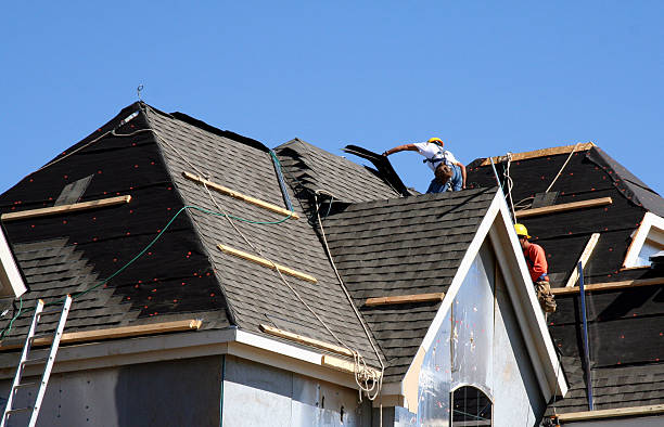 Best Metal Roofing Contractor  in Bristol, IN