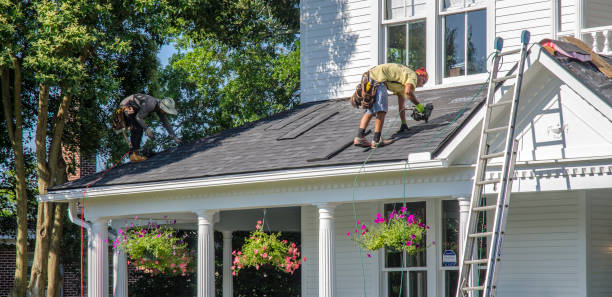 Best Storm Damage Roof Repair  in Bristol, IN