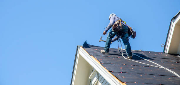 Roof Gutter Cleaning in Bristol, IN